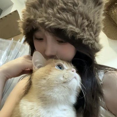 布偶历险记:全面追缉