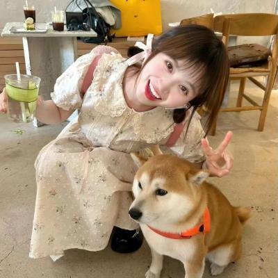 全领域异常解决室
